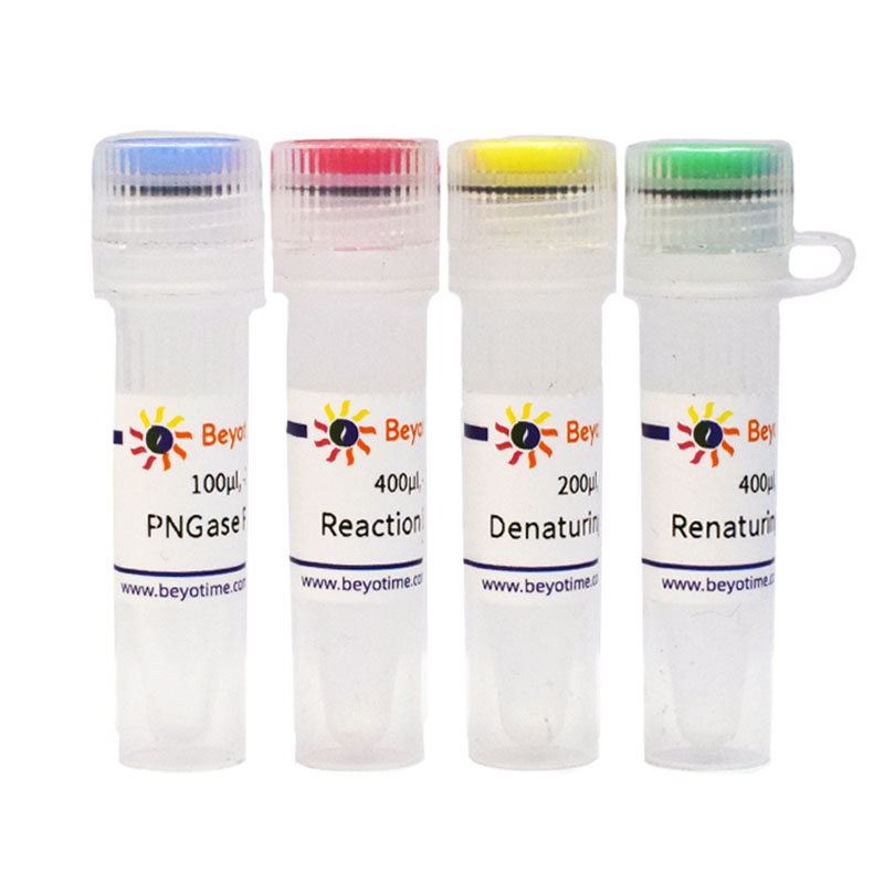 PNGase F去糖基化试剂盒(P2318M)