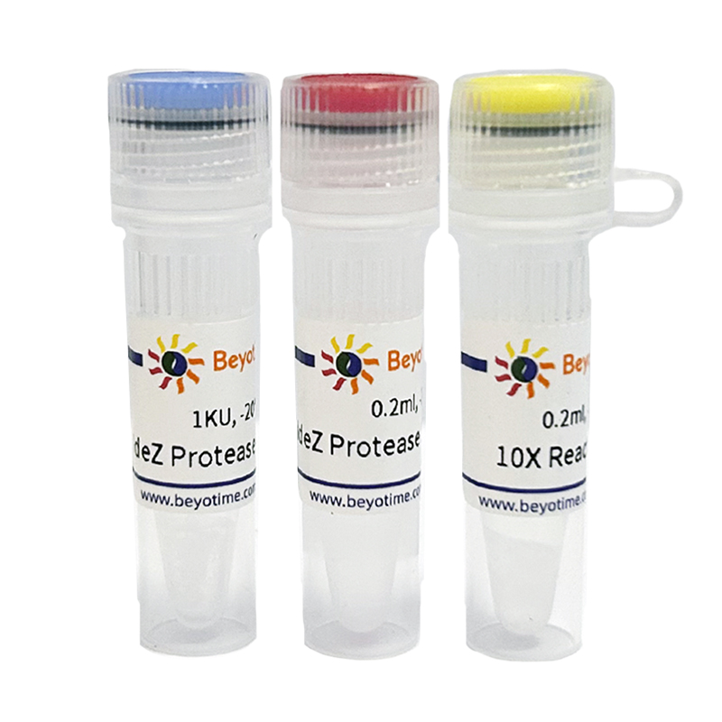 IdeZ Protease (IgG-specific, Powder)(免疫球蛋白特异性IdeZ蛋白酶)(P2528S)