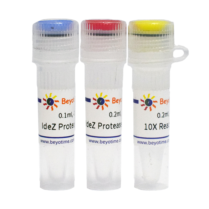 IdeZ Protease (IgG-specific)(免疫球蛋白特异性IdeZ蛋白酶)(P2526S)