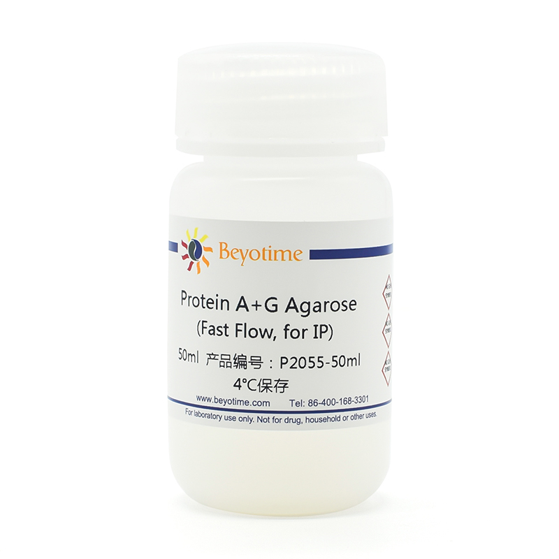 Protein A+G Agarose (Fast Flow, 免疫沉淀用)(P2055-50ml)