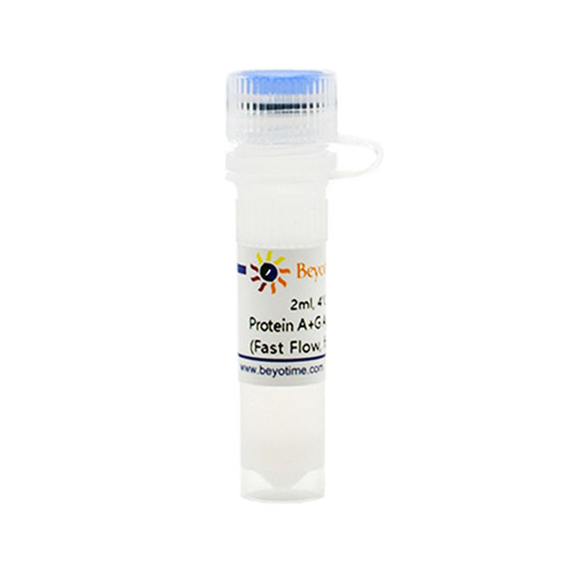 Protein A+G Agarose (Fast Flow, 免疫沉淀用)(P2055-2ml)