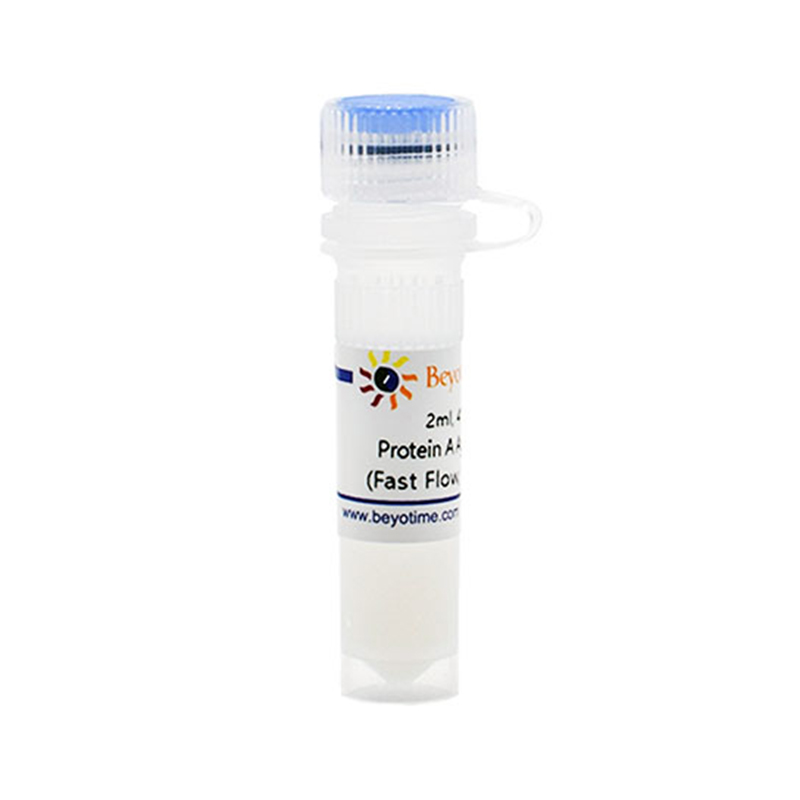Protein A Agarose (Fast Flow, 免疫沉淀用)(P2051-2ml)