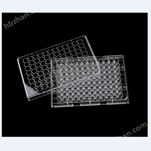 6孔细胞小室培养板KG52006/KG52106/KG53006