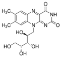 核黄素(维生素B2) 必需维生素|Riboflavin(Vitamin B2)|CAS 83-88-5