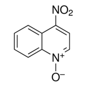 4-Nitroquinoline N-oxide 4-硝基喹啉-N-氧化物(4-NQO)|CAS 56-57-5