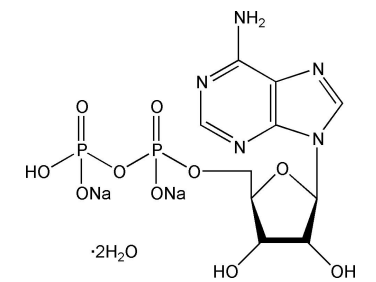 ADP(5&#x27;-二磷酸腺苷二钠盐) 腺嘌呤核苷酸|Adenosine 5&#x27;-diphosphate(ADP) Disodium Salt|CAS 16178-48-6