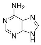 Adenine腺嘌呤 6-氨基嘌呤(维生素B4) 含氮杂环嘌呤碱基|CAS 73-24-5