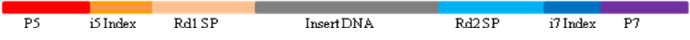 RNA建库接头引物试剂盒|Hieff NGS® RNA 384 CDI Primer for Illumina®