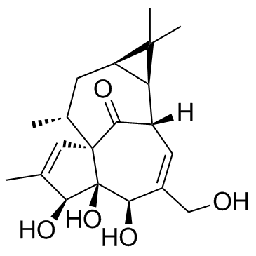 巨大戟醇Ingenol 巨大戟二萜醇 PKC激活剂|CAS 30220-46-3