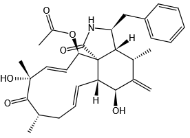 Cytochalasin D 细胞松弛素D(NSC-209835/Zygosporin A) 肌动蛋白聚合抑制剂|CAS 22144-77-0