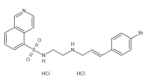 H-89双盐酸盐(H 89 2HCl) 蛋白激酶A抑制剂 PKA磷酸化抑制剂|CAS 130964-39-5