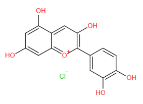 Cyanidin Chloride氯化花青素 NF-κB--RANKL/RANK抑制剂|CAS 528-58-5