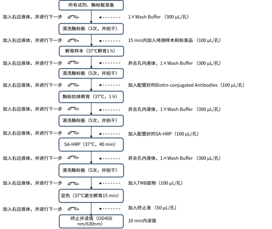 HEK293宿主细胞蛋白(HCP)残留量ELISA检测试剂盒(HEK293 HCP ELISA kit)