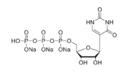 假尿苷三磷酸钠盐溶液(单组分pUTP)