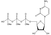 CTP Solution胞苷三磷酸溶液(100mM) CTP三磷酸胞苷溶液