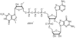 Cap1-GAG(3’OMe)钠盐 帽类似物 结构m7(3’OMeG)(5’)ppp(5’)(2’OMeA)pG