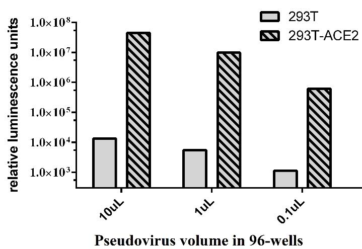 2019-nCOV-S蛋白假病毒|COVID-19-Spike Protein Pseudovirus
