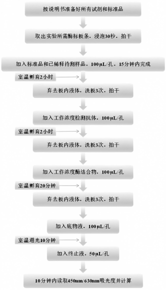 小鼠VEGF ELISA试剂盒 Mouse VEGF ELISA Kit