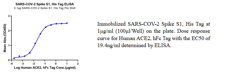 重组SARS-COV-2刺突S1(His标签) SARS-CoV-2刺突蛋白