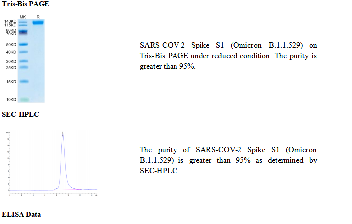 重组SARS-COV-2刺突S1(奥密克戎)(His标签)