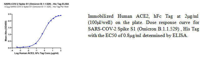 重组SARS-COV-2刺突S1(奥密克戎)(His标签)
