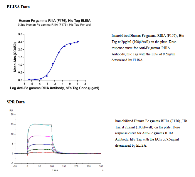 重组人FcγRIIIA/CD16a(F176)(His-Avi标签)|Recombinant Human Fc gamma RIIIA/CD16a