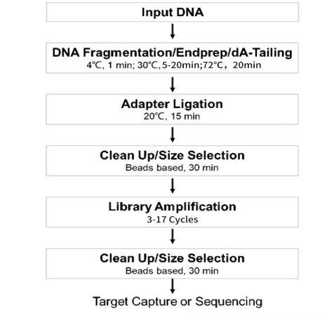 OnePot cDNA和gDNA文库制备试剂盒 cDNA &amp; gDNA Library Prep Kit