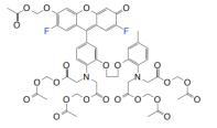 Fluo-4,AM钙离子荧光探针(细胞可渗透) Fluo-4钙离子探针