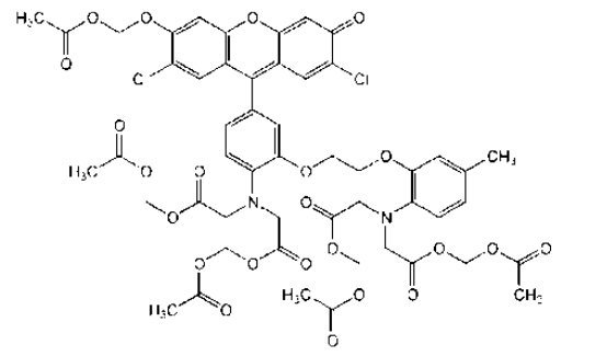 Fluo-3,AM钙离子荧光探针(细胞可渗透) Fluo-3钙离子探针