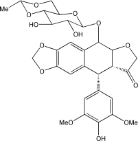 依托泊甙(Etoposide 100 mM) 抗肿瘤试剂 凋亡诱导剂 拓扑异构酶II抑制剂