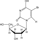 5-溴脱氧尿嘧啶核苷 Brdu溴化去氧尿苷|5-BrdU